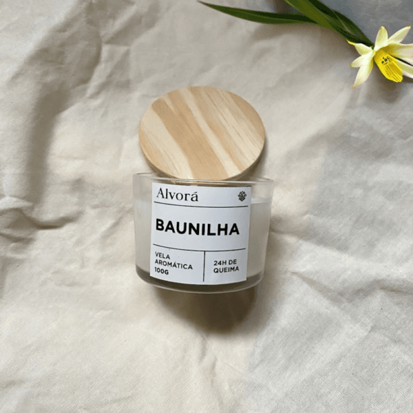 Vela Aromática Baunilha 100g