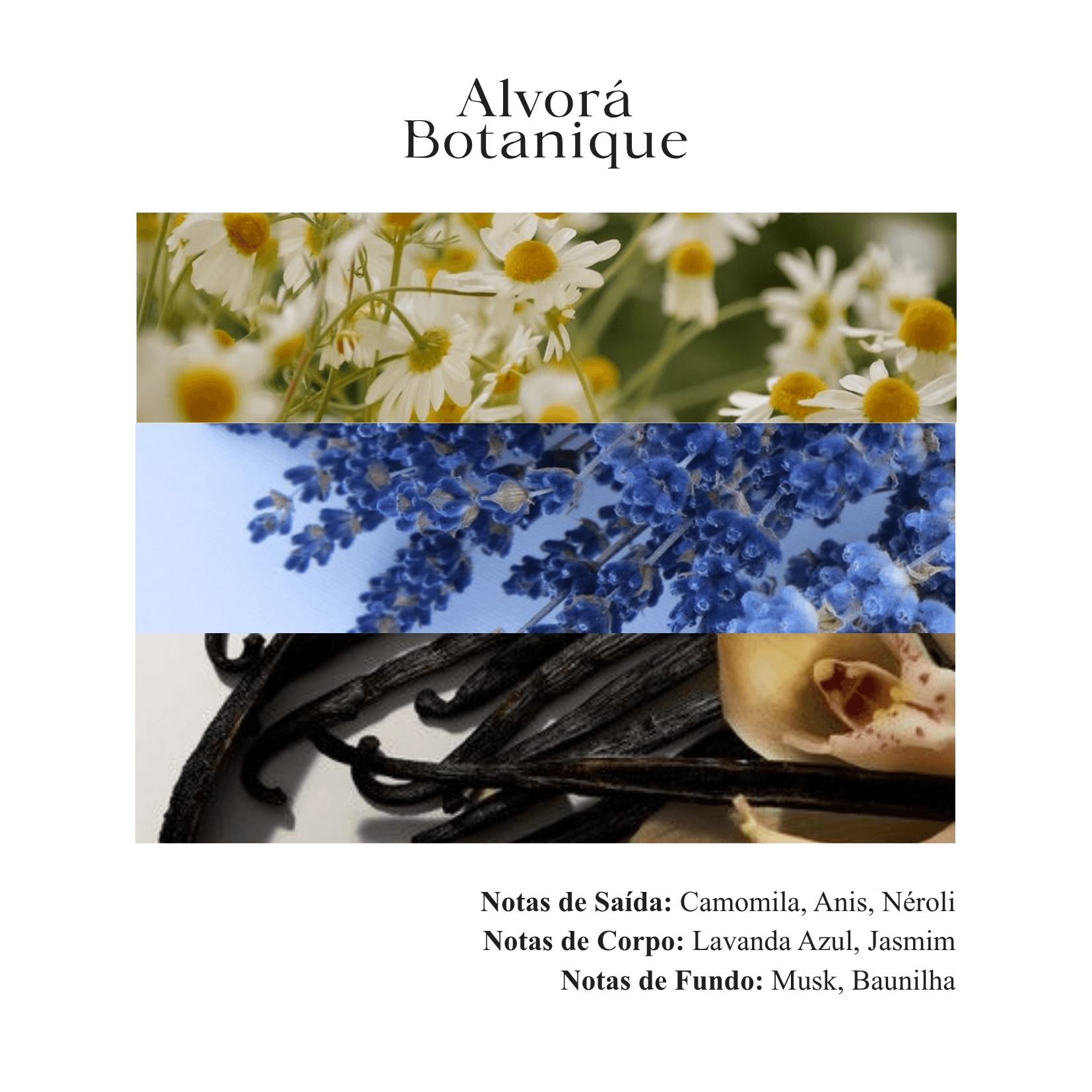 Vela Aromática Camomila - 180g - Imagem 4