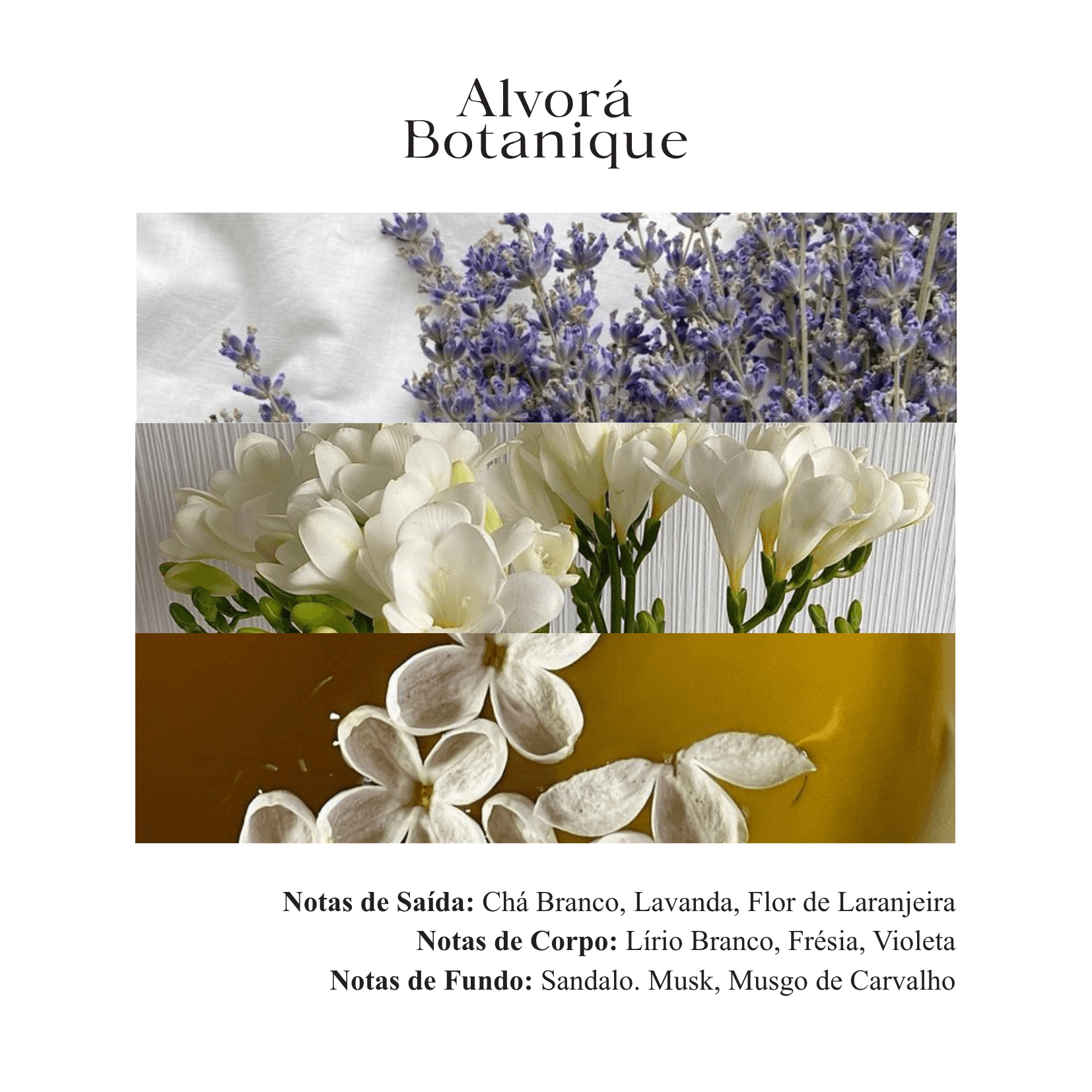 Difusor de Ambientes 200ml - Chá Branco - Imagem 4