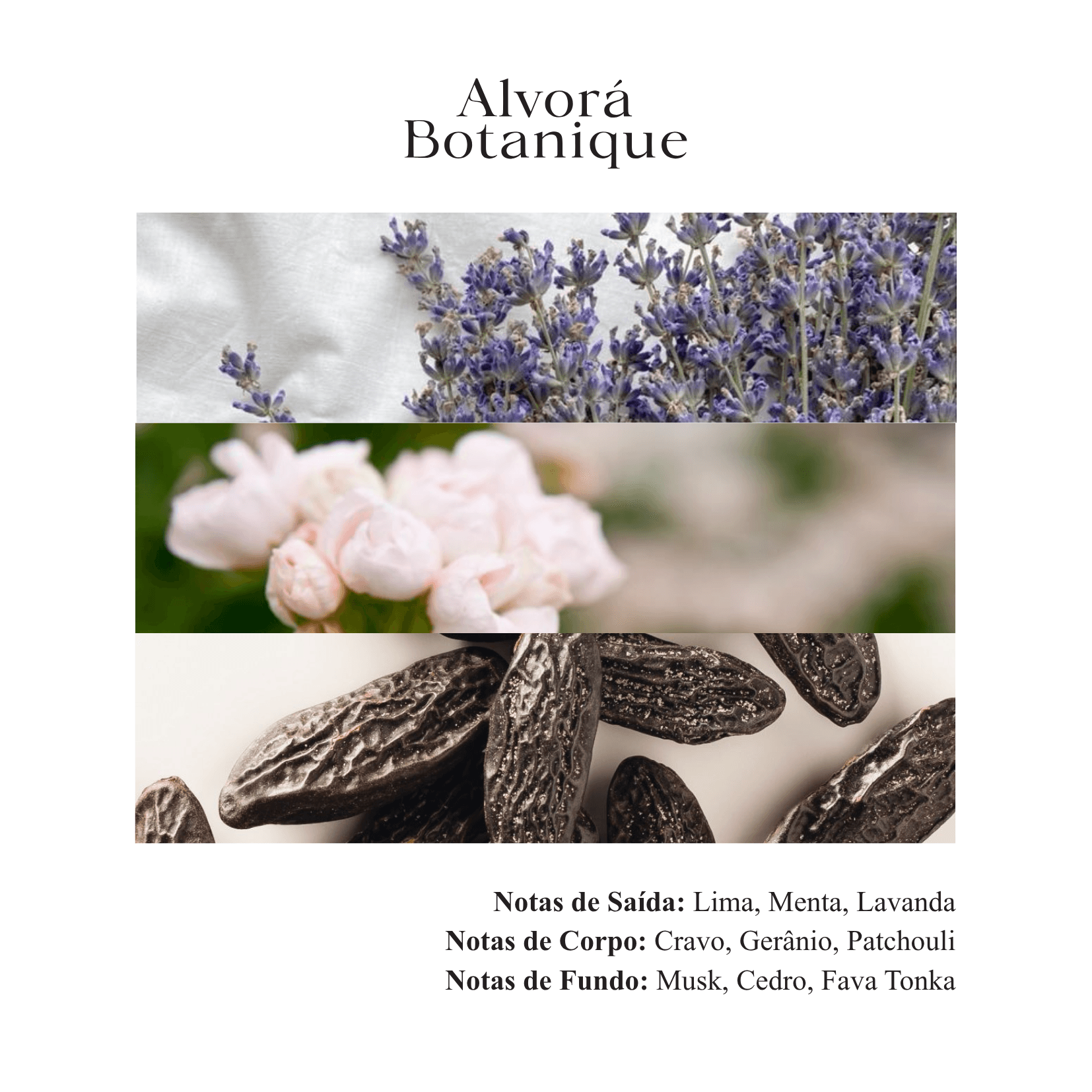 Vela Aromática Lavanda - 180g - Imagem 4